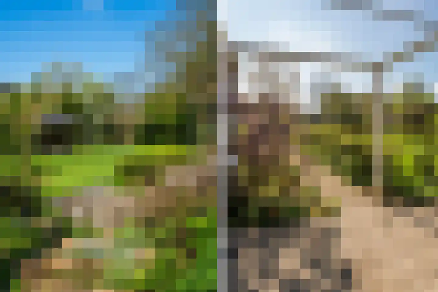 Brinken 7 Meppen thumbnail 39