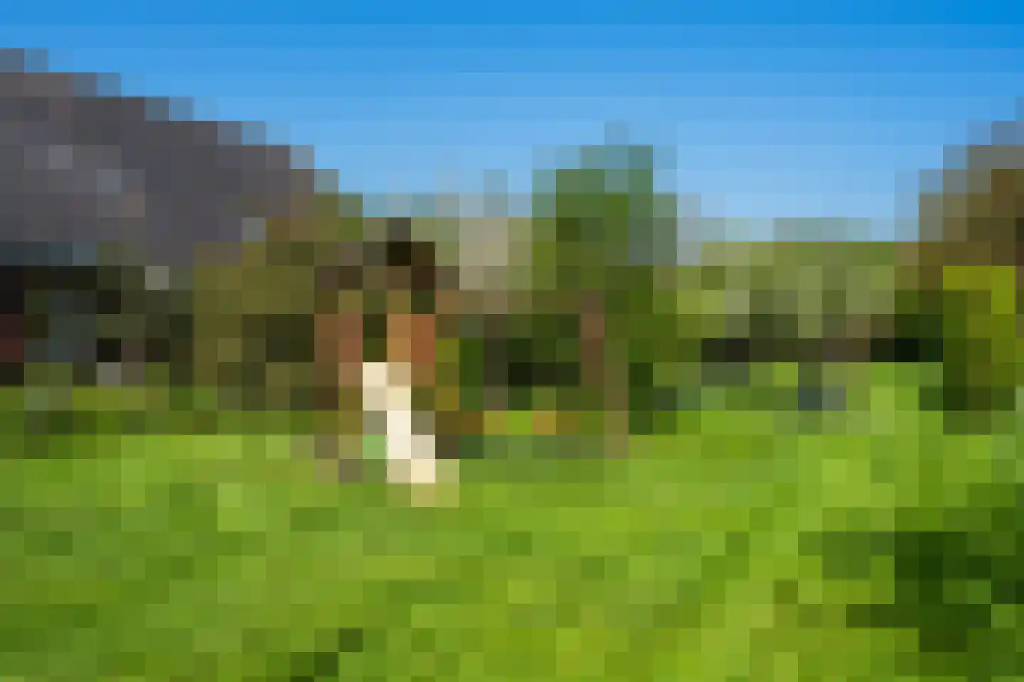 Brinken 7 Meppen thumbnail 40
