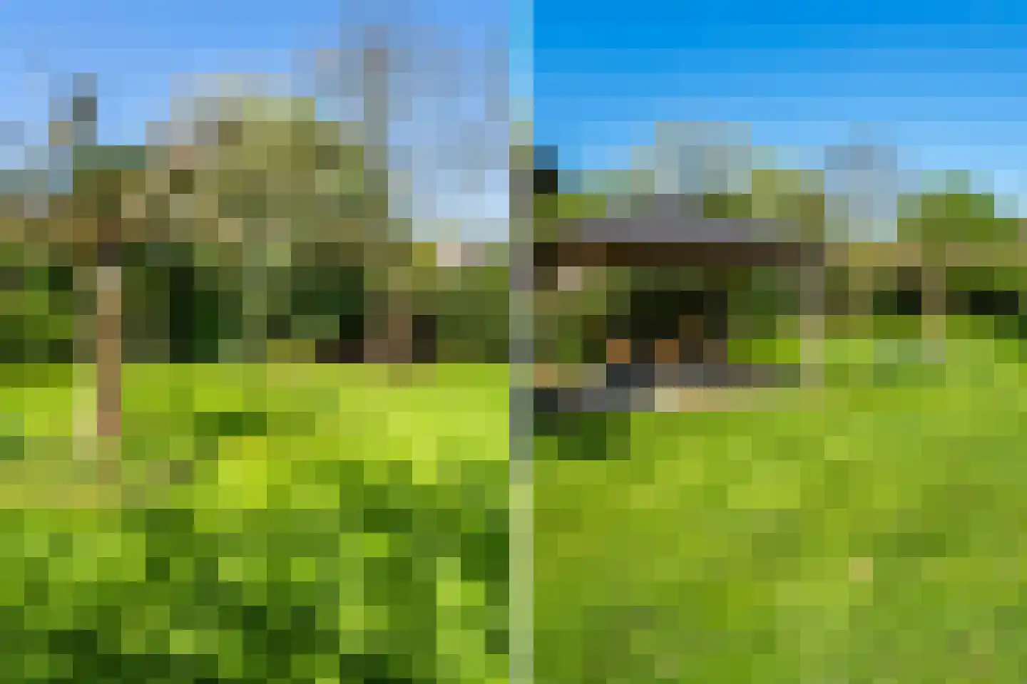 Brinken 7 Meppen thumbnail 48