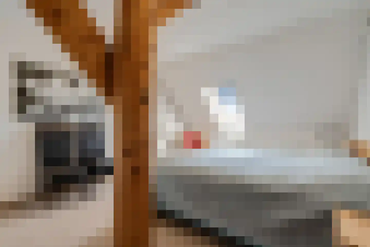 Brinken 7 Meppen thumbnail 55