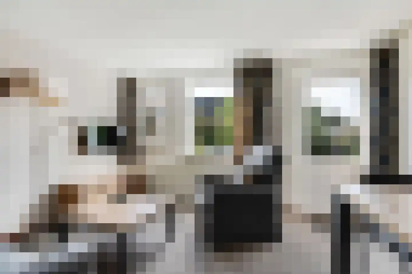 Brinken 7 Meppen thumbnail 58