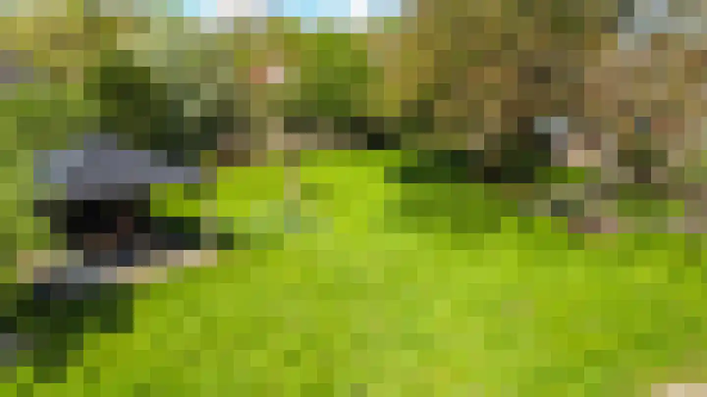 Brinken 7 Meppen thumbnail 62