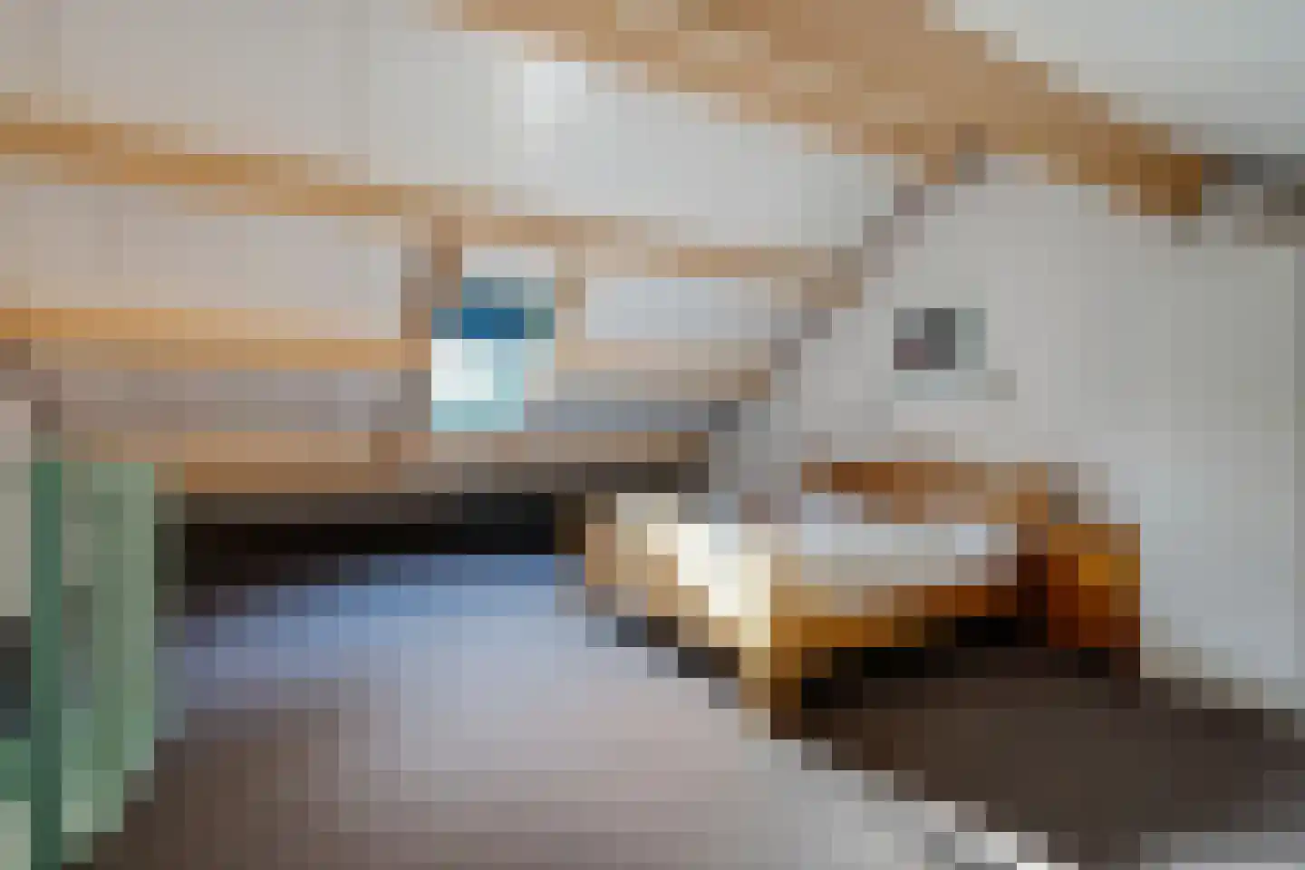 Brinken 7 Meppen thumbnail 77