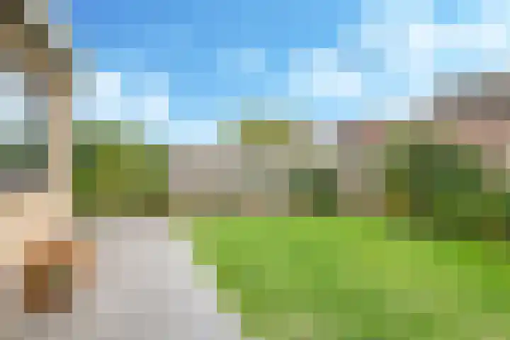 Brinkerhof 14 Vorden thumbnail 23