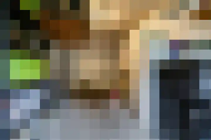 Brinkerhof 14 Vorden thumbnail 26