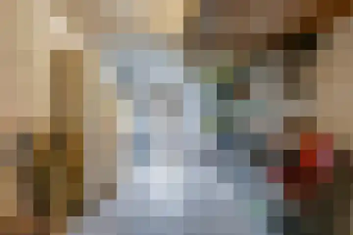 Brinkerhof 14 Vorden thumbnail 27