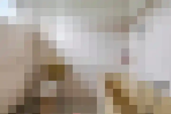 Brinkerhof 14 Vorden thumbnail 38