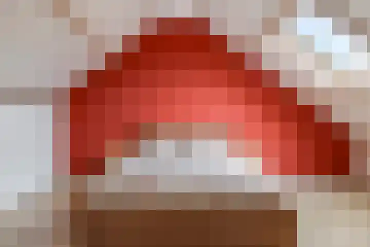 Brinkerhof 14 Vorden thumbnail 41
