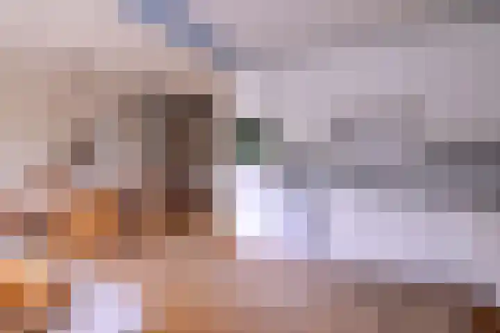 Brinkerhof 72 Vorden thumbnail 10