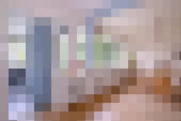 Brinkerhof 72 Vorden thumbnail 12