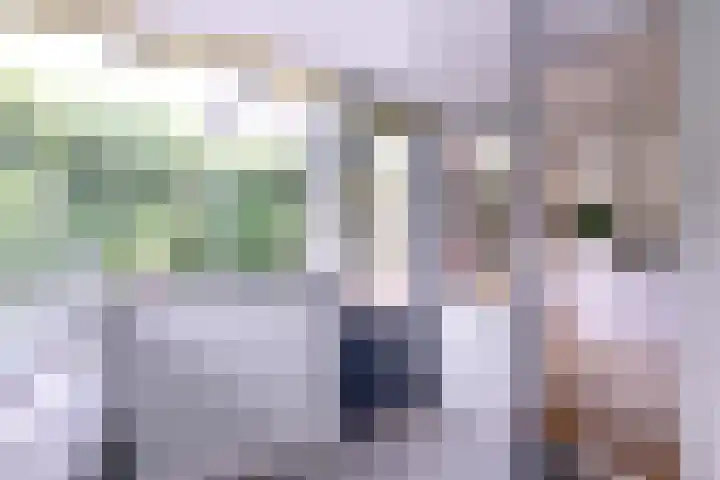 Brinkerhof 72 Vorden thumbnail 14