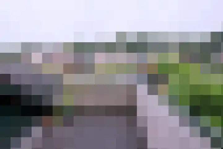 Brinkerhof 72 Vorden thumbnail 19