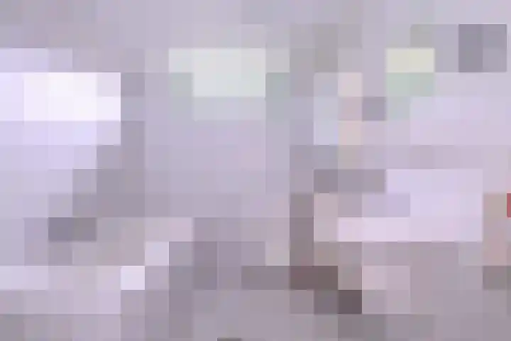 Brinkerhof 72 Vorden thumbnail 22