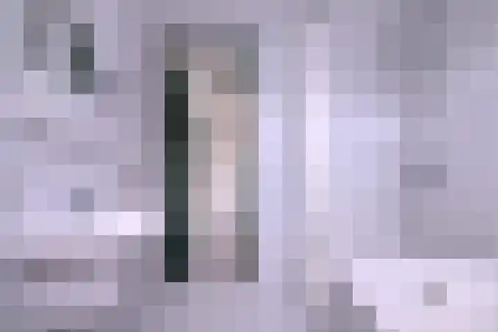 Brinkerhof 72 Vorden thumbnail 23