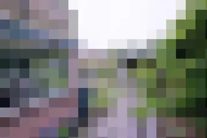 Brinkerhof 72 Vorden thumbnail 32
