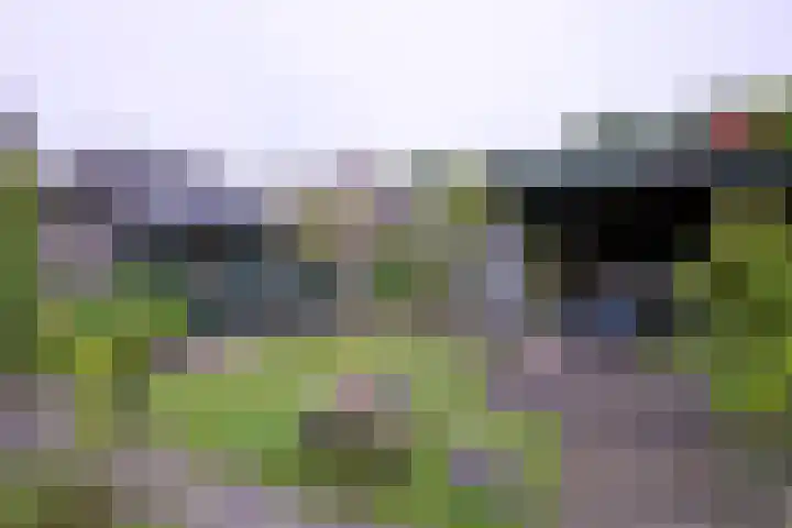 Brinkerhof 72 Vorden thumbnail 33