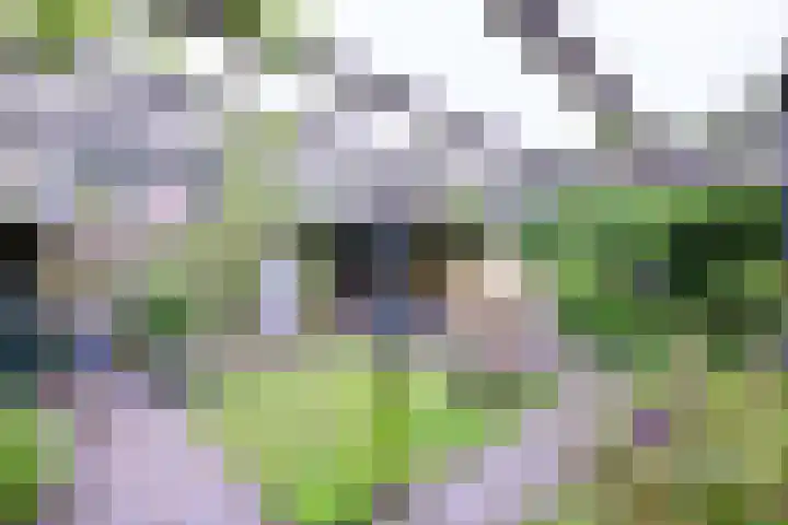 Brinkerhof 72 Vorden thumbnail 34