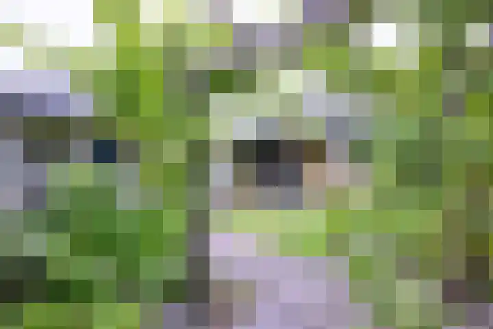 Brinkerhof 72 Vorden thumbnail 35