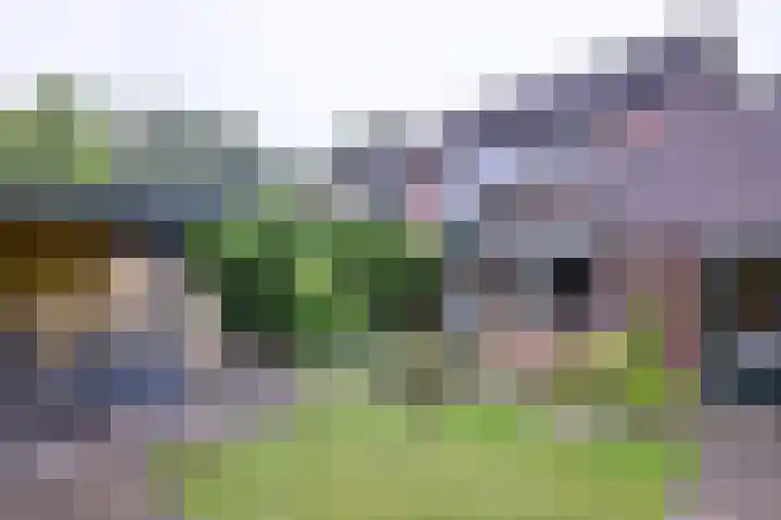 Brinkerhof 72 Vorden thumbnail 36