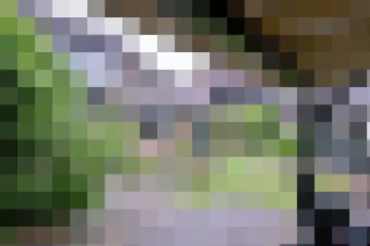 Brinkerhof 72 Vorden thumbnail 37