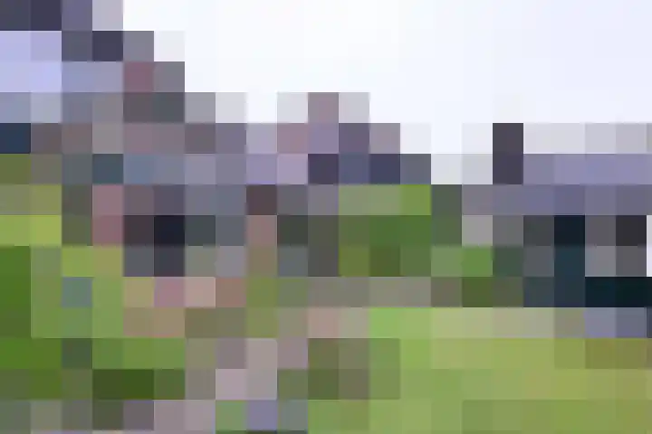 Brinkerhof 72 Vorden thumbnail 38