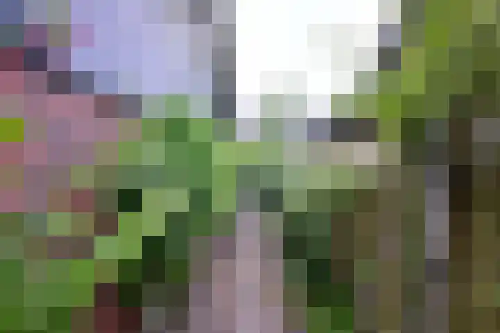 Brinkerhof 72 Vorden thumbnail 39