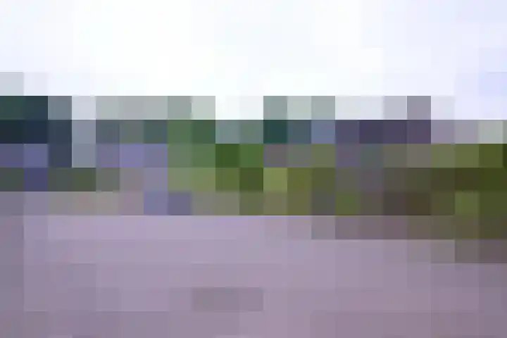 Brinkerhof 72 Vorden thumbnail 41