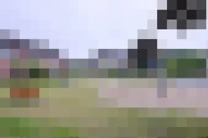 Brinkerhof 72 Vorden thumbnail 42
