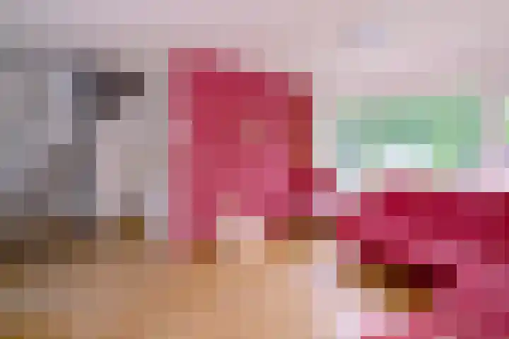 Brinkerhof 72 Vorden thumbnail 6