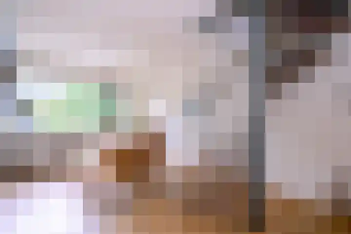 Brinkerhof 72 Vorden thumbnail 7