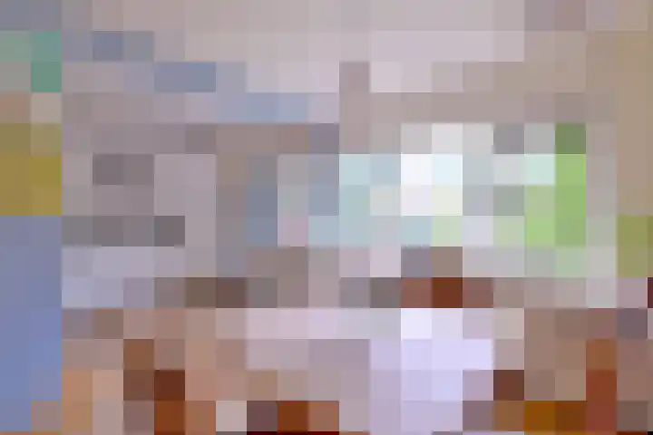 Brinkerhof 72 Vorden thumbnail 8
