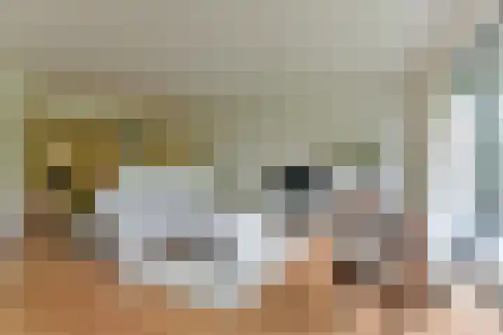 Brinkhove 35 Zeist thumbnail 15