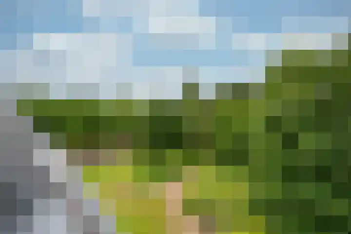 Brinkhove 35 Zeist thumbnail 20