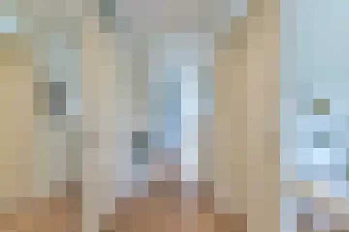 Brinkhove 35 Zeist thumbnail 22