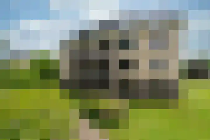 Brinkhove 35 Zeist thumbnail 5
