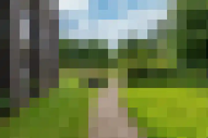 Brinkhove 35 Zeist thumbnail 6