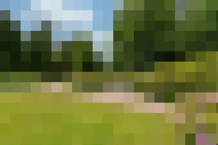 Brinkhove 35 Zeist thumbnail 7