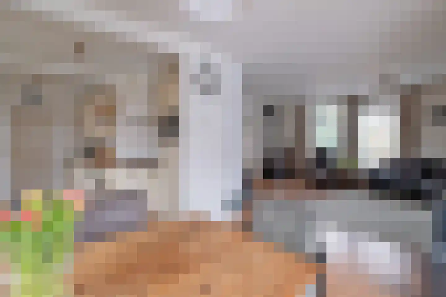 Brinkkampen 15 Spier thumbnail 10