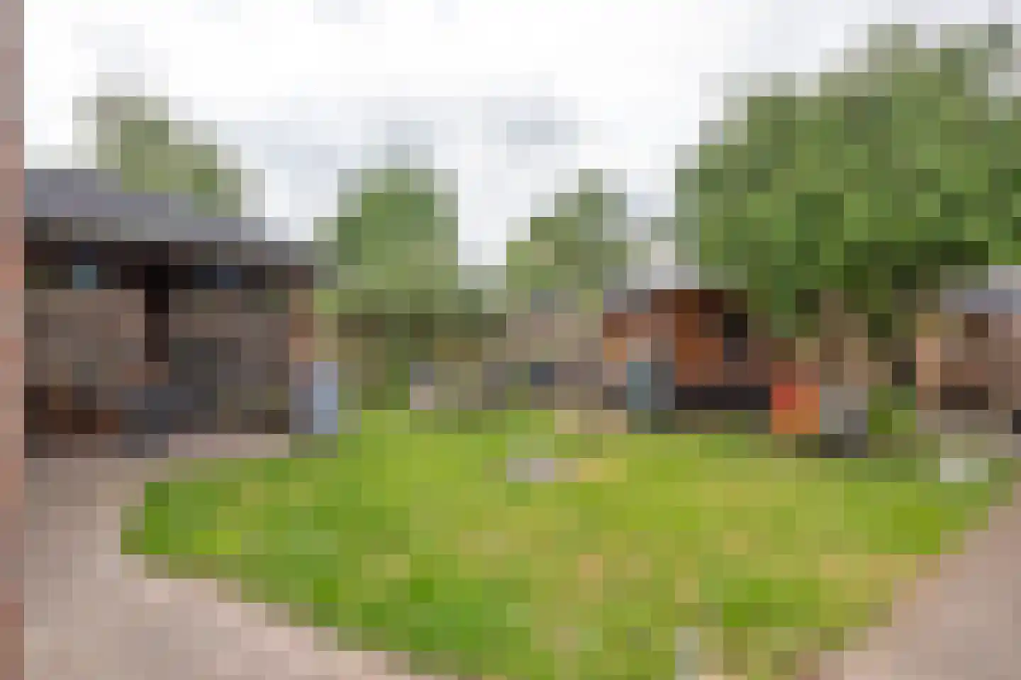 Brinkkampen 15 Spier thumbnail 25