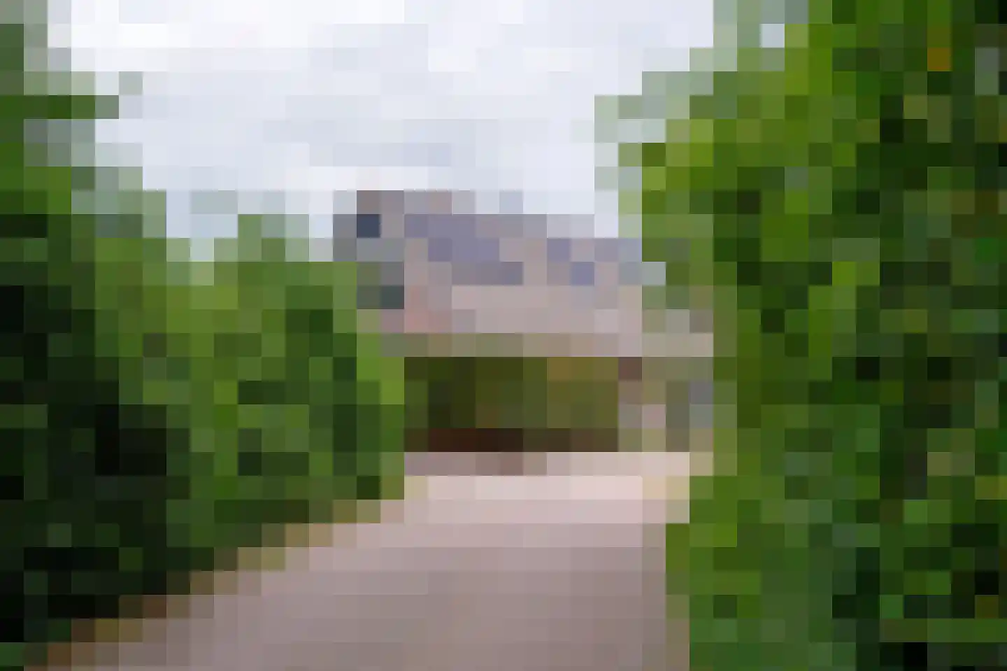 Brinkkampen 15 Spier thumbnail 42