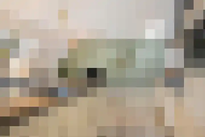 Brinklaan 3 B Epe thumbnail 10