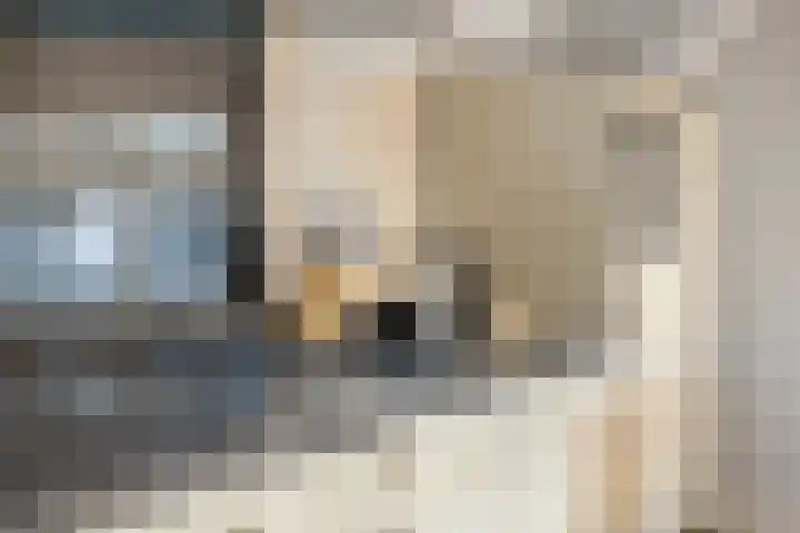 Brinklaan 3 B Epe thumbnail 6
