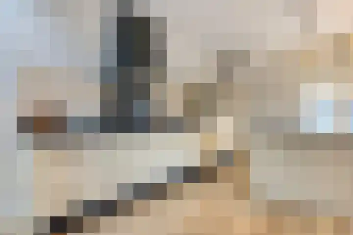 Brinklaan 3 B Epe thumbnail 7