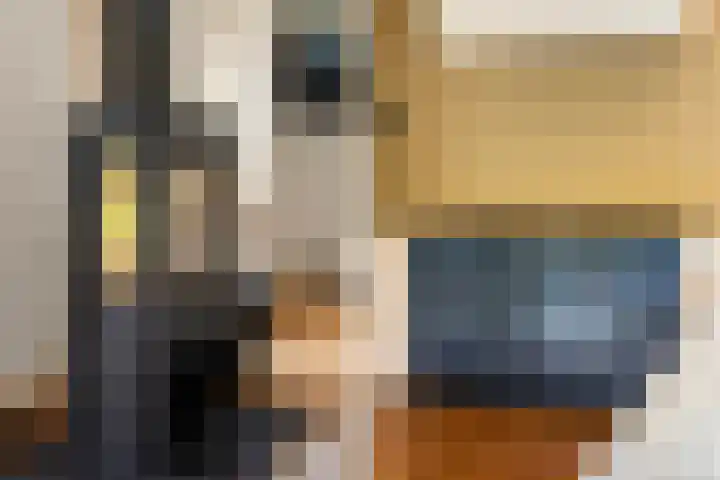 Brinklaan 32 Epe thumbnail 16