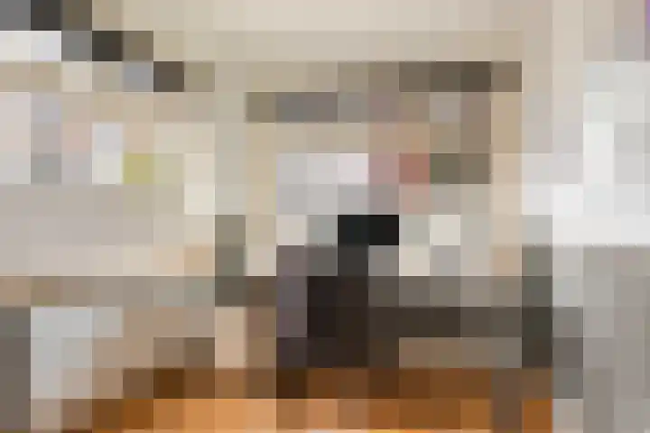 Brinklaan 32 Epe thumbnail 21