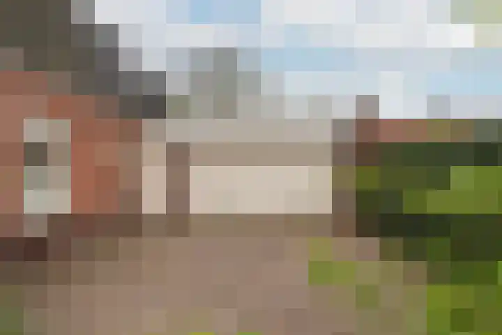 Brinklaan 32 Epe thumbnail 38
