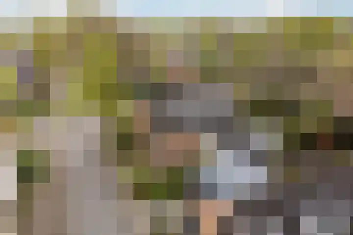 Brinklaan 32 Epe thumbnail 40