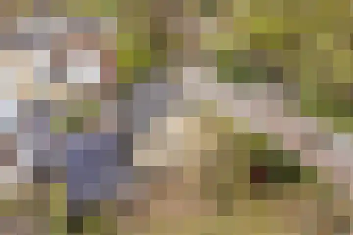 Brinklaan 32 Epe thumbnail 41