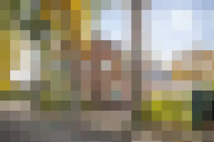 Brinklaan 32 Epe thumbnail 45