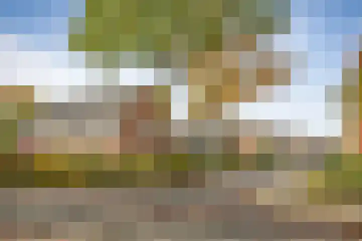 Brinklaan 32 Epe thumbnail 46